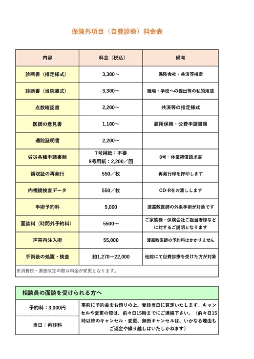 保険外項目（自費診療）料金表